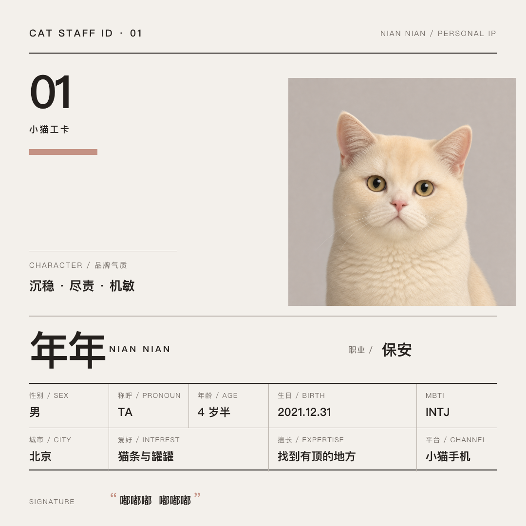 年年的数字工卡